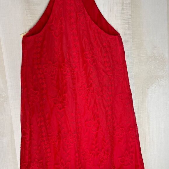 Altar’d State red sleeveless spaghetti strap lined dress, size small - Picture 14 of 16